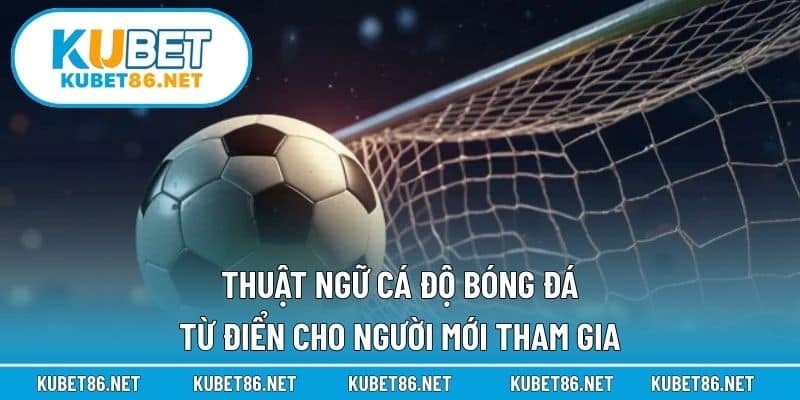 Thuật Ngữ Cá Độ Bóng Đá – Từ Điển Cho Người Mới Tham Gia